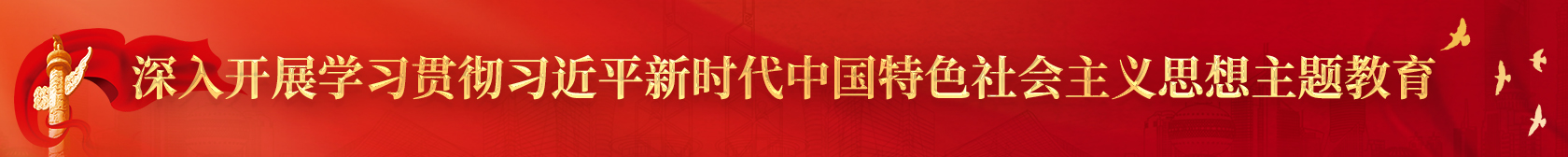 深入開展學(xué)習(xí)貫徹習(xí)近平新時代中國特色社會主義思想主題教育
